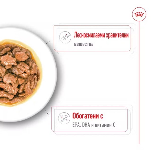 Royal Canin X-small Adult Pouch - Пълноценна мокра храна за кучета от миниатюрни породи над 10 месеца